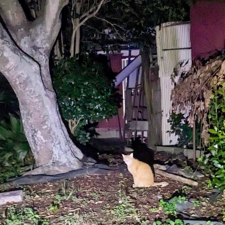 7bb8cba6 1029 4b53 a2bc 5435d6368f97 1757936925458