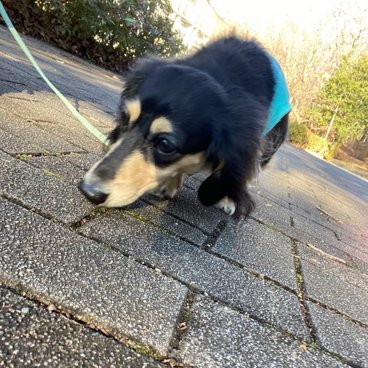 7bb8d2e5 4b24 4a5e 996a 8b964d62196e 1705288441941