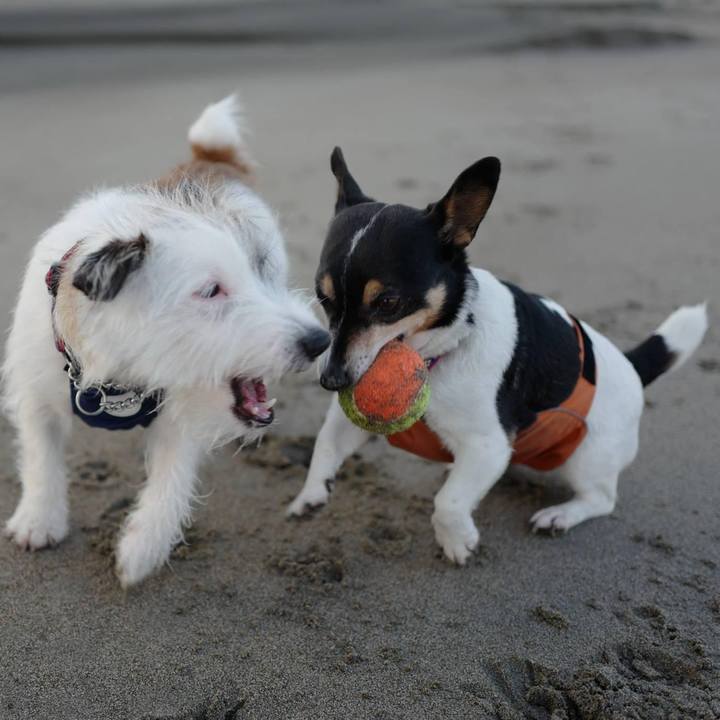 7bb9096d 3dd9 44fd 94d3 59696b8fc44a 1671764434850