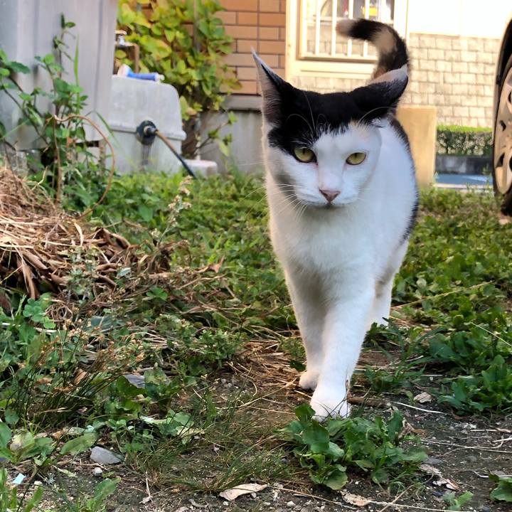 7bb91f05 f071 4090 8525 8801b86ceb52 1628029434670