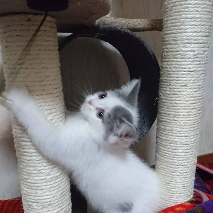 7bb9207f 36c3 4abc a2e2 2d0a3649584f 1526208140025