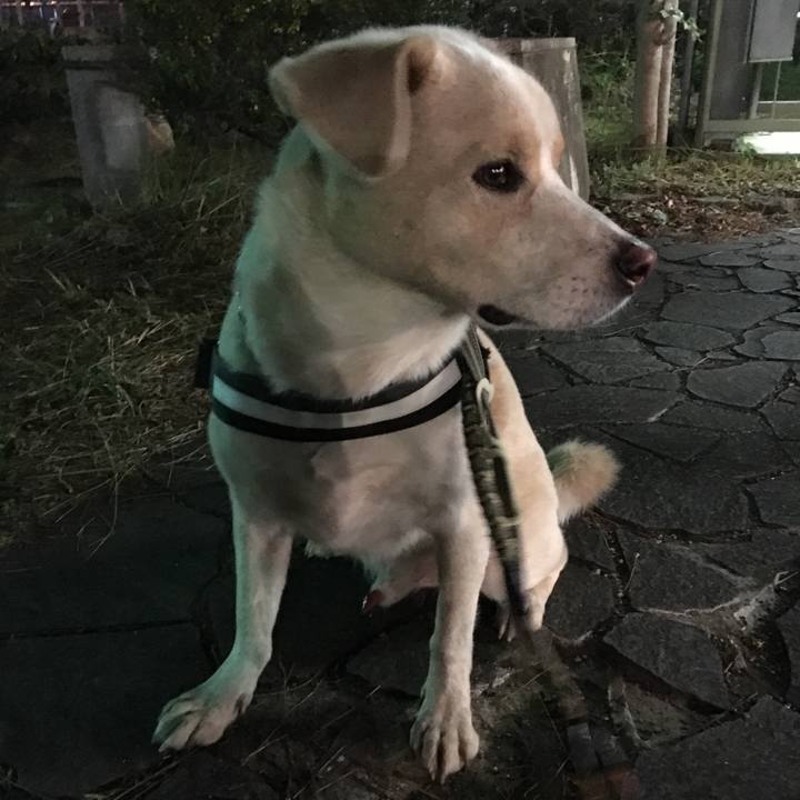 7bb9212e bdaa 46b5 8159 f5e4f6101958 1541416812977