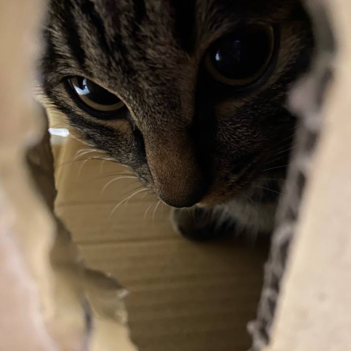 7bb975ef 7d6d 473a a307 a2110f4fac9a 1622813014613