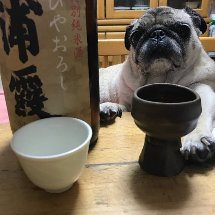 7bb99294 d0bf 4915 8cb1 de141a550e71 1537143793513