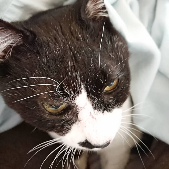 7bb99cfb e24b 48c1 8a63 dcea55cd88e7 1611980509392