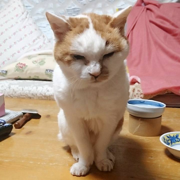 7bb9b447 d2dc 4619 90dd 37da36a3f11f 1577661923659