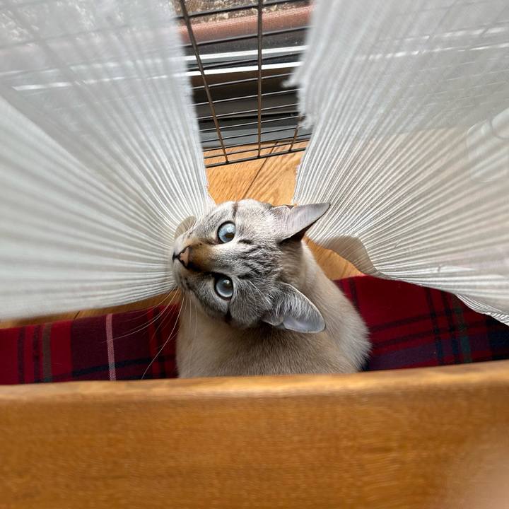 7bb9c880 1c87 483e a52e 0c8677924f44 1766537517654