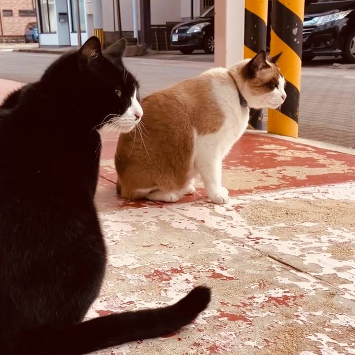 7bb9cd0a 211c 4302 ad99 d43e1d9e5f0f 1733369966020