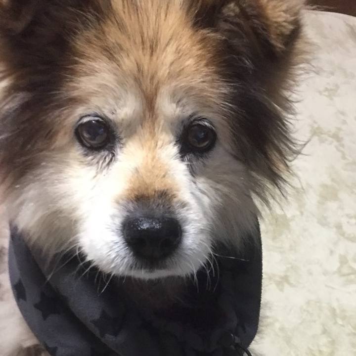 7bb9ce15 37ef 472a b4d3 efbda6ab0e13 1627720741400