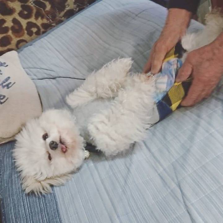 7bb9dfaa ba9f 4967 bc5f d07e44ffeba0 1521554620721