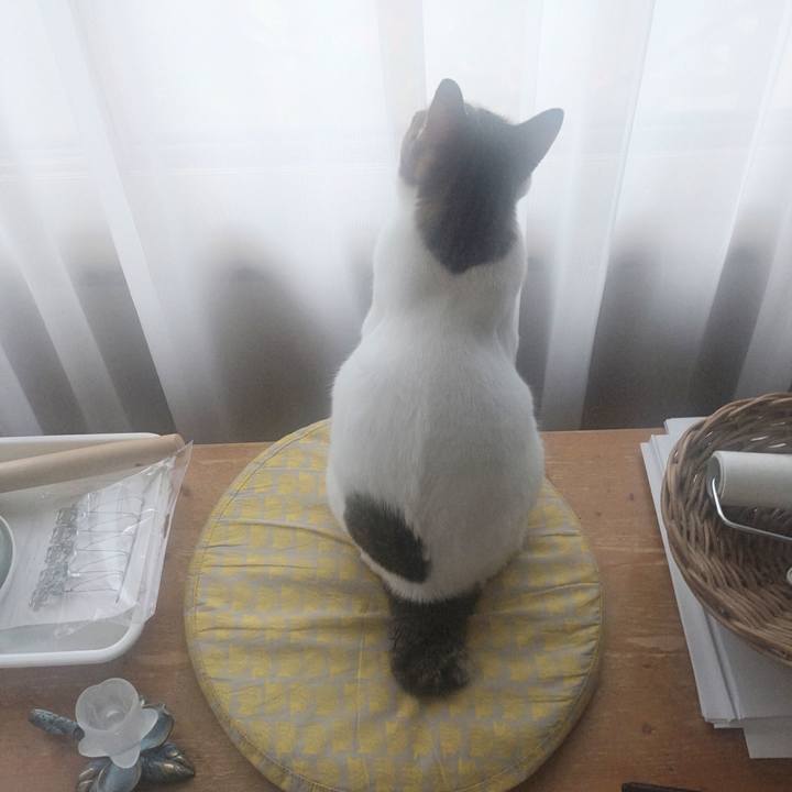 7bba290c c79e 4774 b0fd 13b33e58cea5 1726530263463