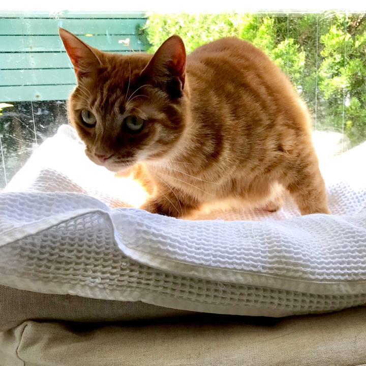 7bba57c2 4007 43f9 9556 c2475f6a0375 1524041941387