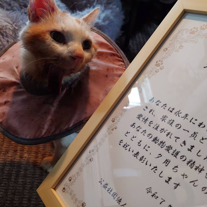 7bba7735 732a 4d88 a1a2 6d61216a20af 1761365599481