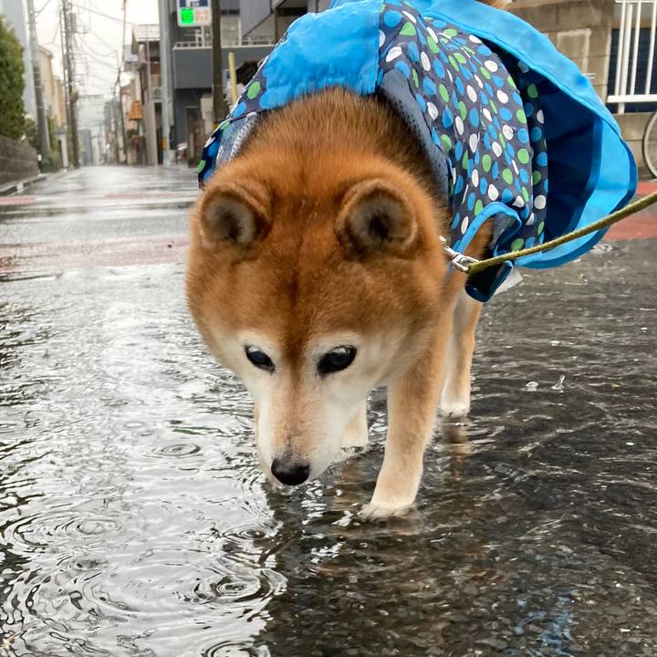 7bba9d87 545f 47a5 82b6 13ec07e72ca5 1711439543887