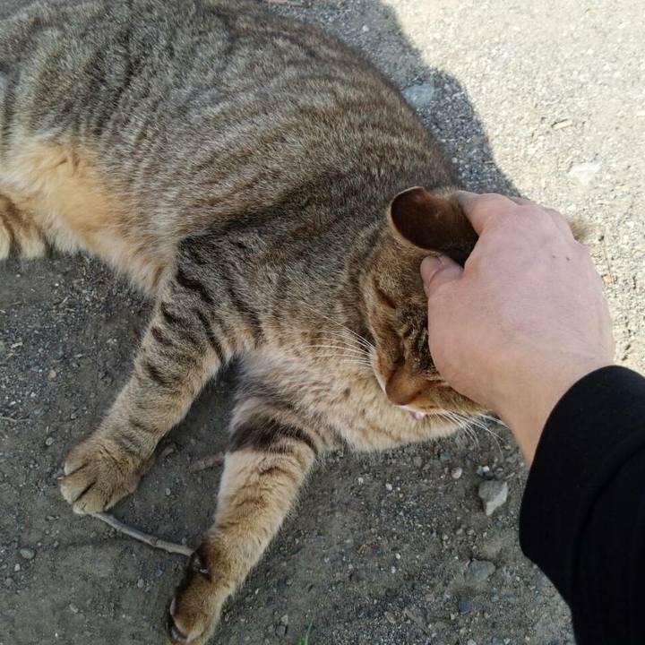 7bbae382 eecf 42d5 bdfd df990f32a04f 1522289004800