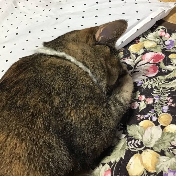 7bbb2c37 2e18 4fec 8a3c 91d07837750e 1648592186142