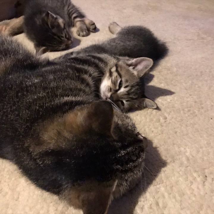 7bbb53ee 4676 466a 9dd4 2f089d359f59 1628865776981