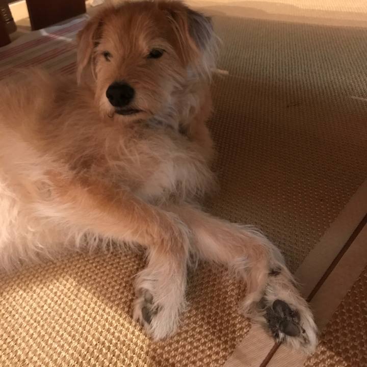 7bbb611f 5a38 46a1 ae8f be8fdcaf8135 1587120506727