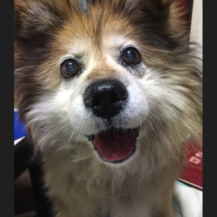 7bbb7aa5 cf93 4512 a1af 900b9f6976ae 1555843664152