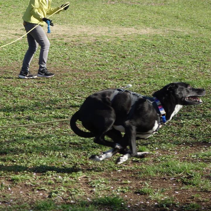 7bbb8086 032e 4e3b b83e 3cf8b1ce1549 1649379351043