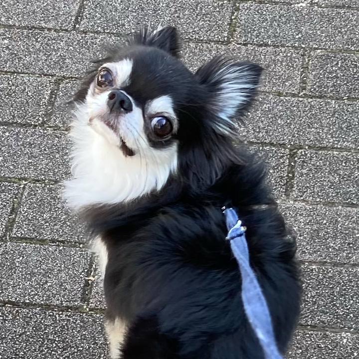 7bbb9fb9 81a5 4572 ac10 b0e6e567993b 1664596571388