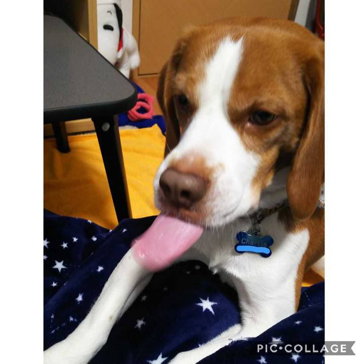 7bbbe053 740a 4a7c a51f 554c2a8c253f 1584187074464