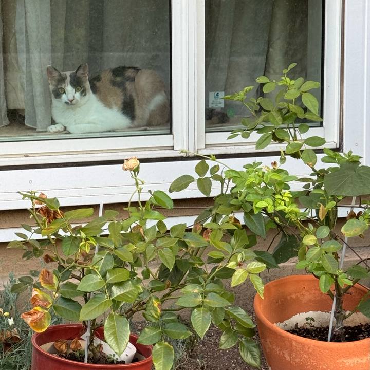 7bbc1810 e5ee 495e ab90 9f01da6738eb 1753915177685