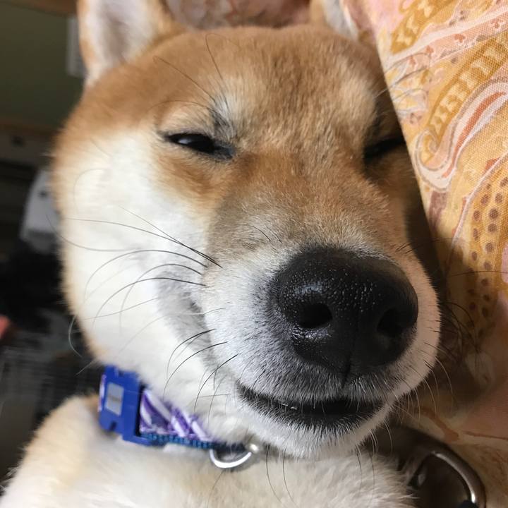 7bbc483c 6add 4cef a38e e42a2011d03c 1547118041970