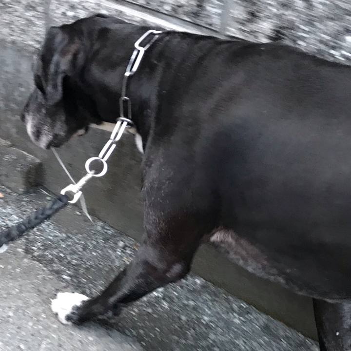 7bbc5ffe e46c 472b afb0 fe488c6dfc7c 1539512201643