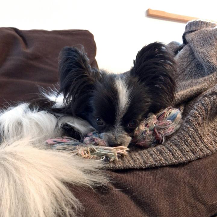 7bbc9bed da67 4ce9 84a5 cea000486480 1521590087130