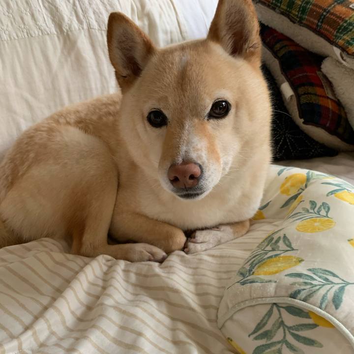 7bbcb1e1 3aa4 4809 9041 01f6741f197e 1651373683089