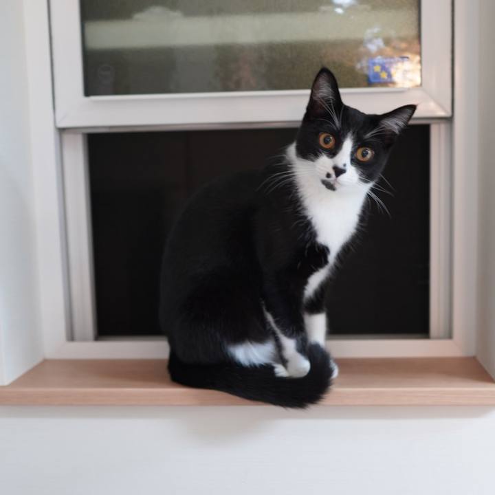 7bbcbf8c 490f 4728 9ec6 832be000a61d 1588692348162