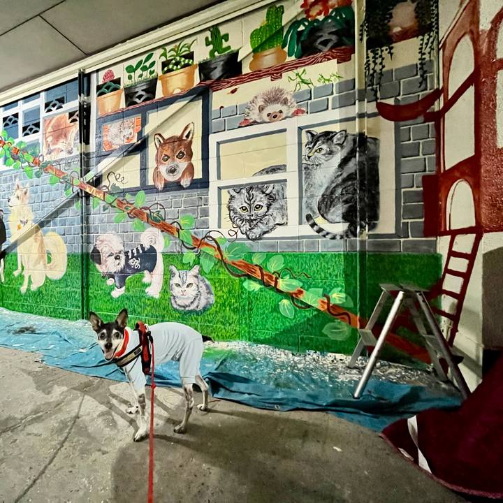 7bbcc85d 637a 41c0 b564 b1f0567eb753 1653567085146