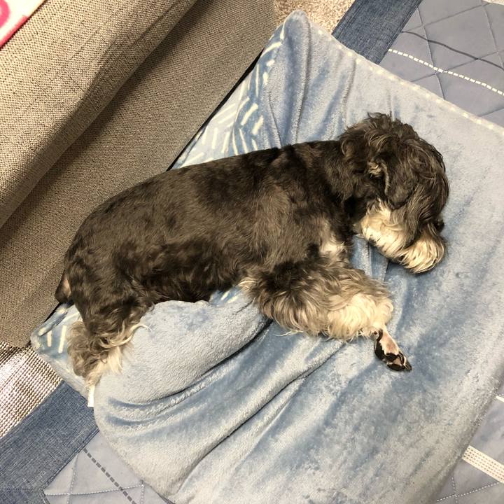 7bbce1c2 0c13 48cf a1b7 cee4439495f7 1694181515600