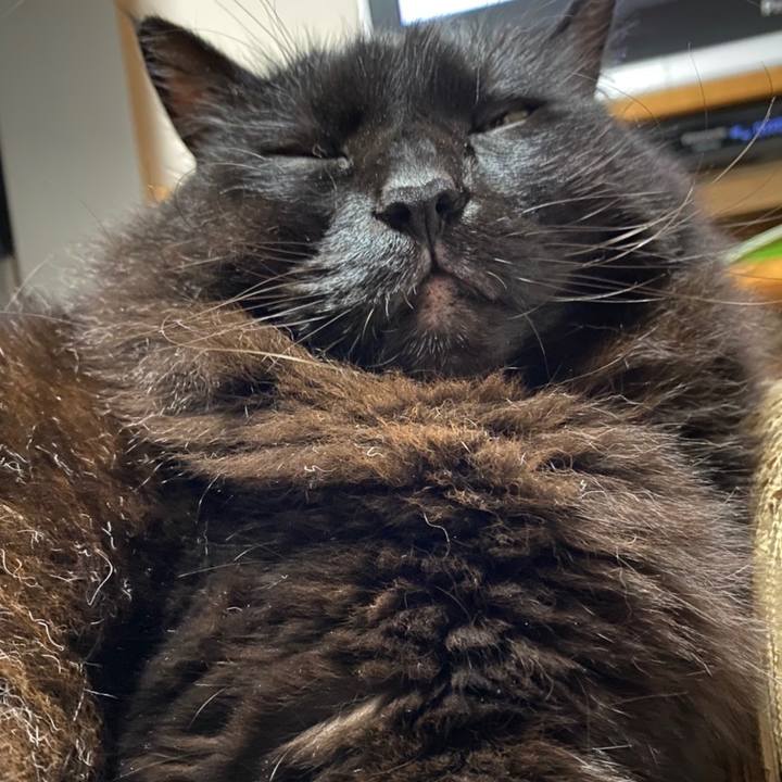 7bbcf562 d780 4fb0 b934 18fc8fb97089 1603975332735