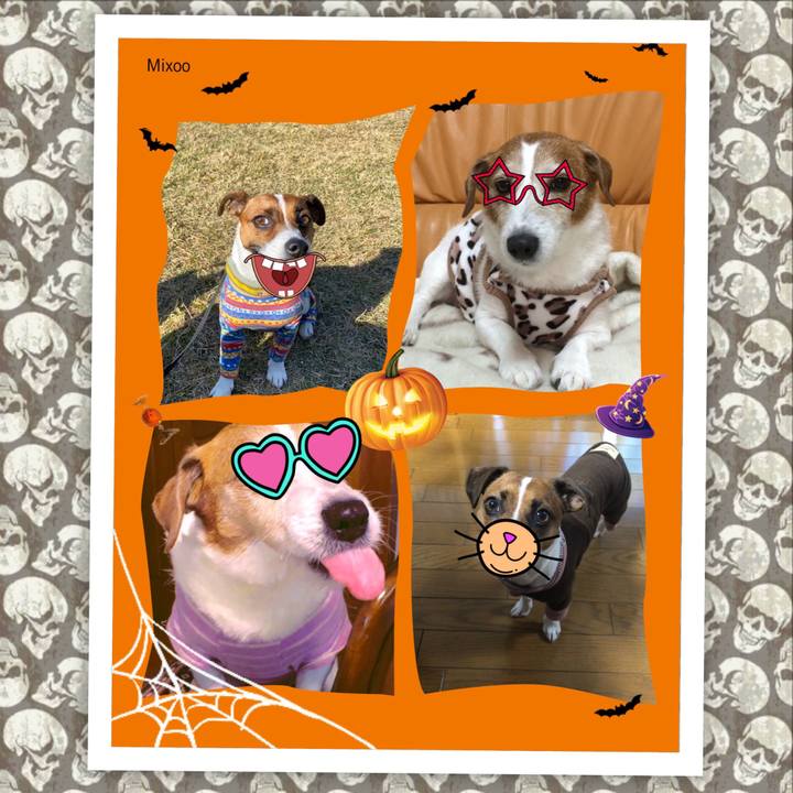 7bbd1b5b 5946 4b14 91c7 2088d8cdf9e1 1635640753612