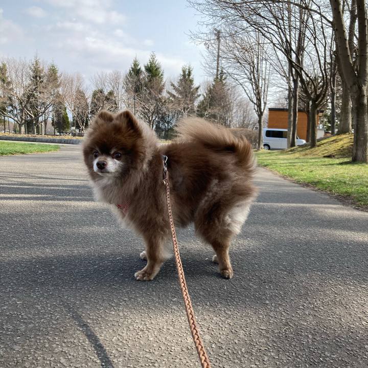 7bbd6001 aef8 4e63 a684 845153e81950 1649731446732