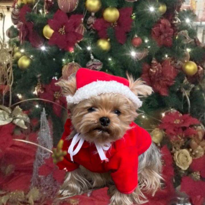 7bbd78fe a9fd 4b62 9aab 83aae23bd804 1735021312920