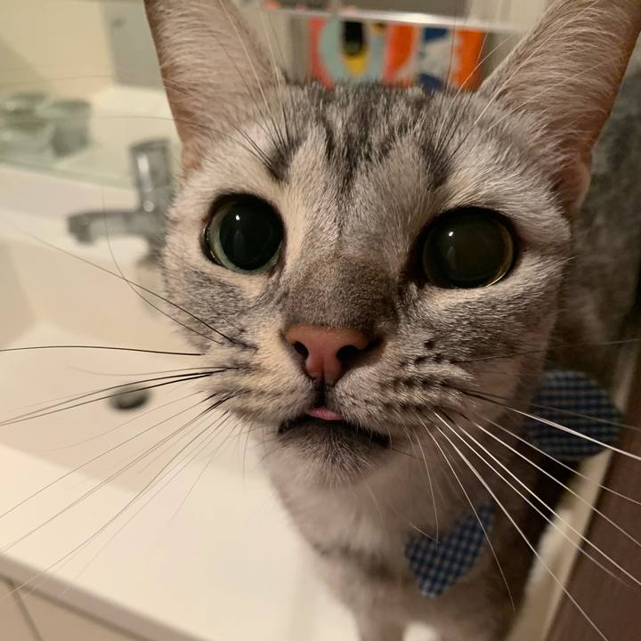 7bbd8f50 1d55 4fbf 8733 60985e9f334f 1567862003096