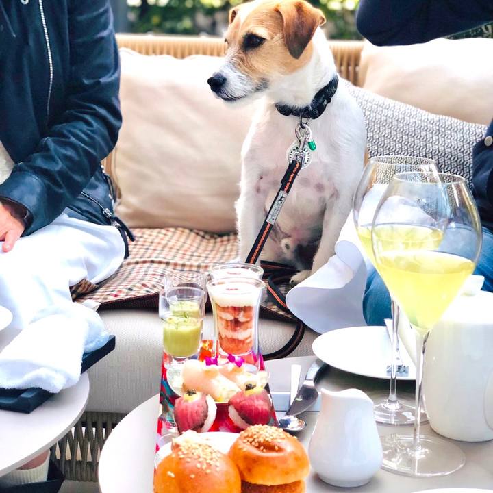 7bbda529 03a1 4e37 bc0b 2863ab0e2528 1605617859975