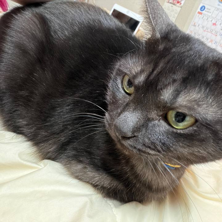 7bbdf2bc ea7d 464c b0d5 2de59b0f345e 1772357721560