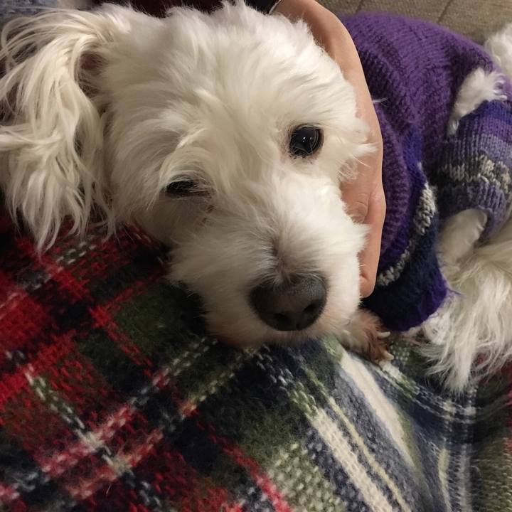 7bbdfa4f 8817 472e 9f86 562e3d101145 1517133796109