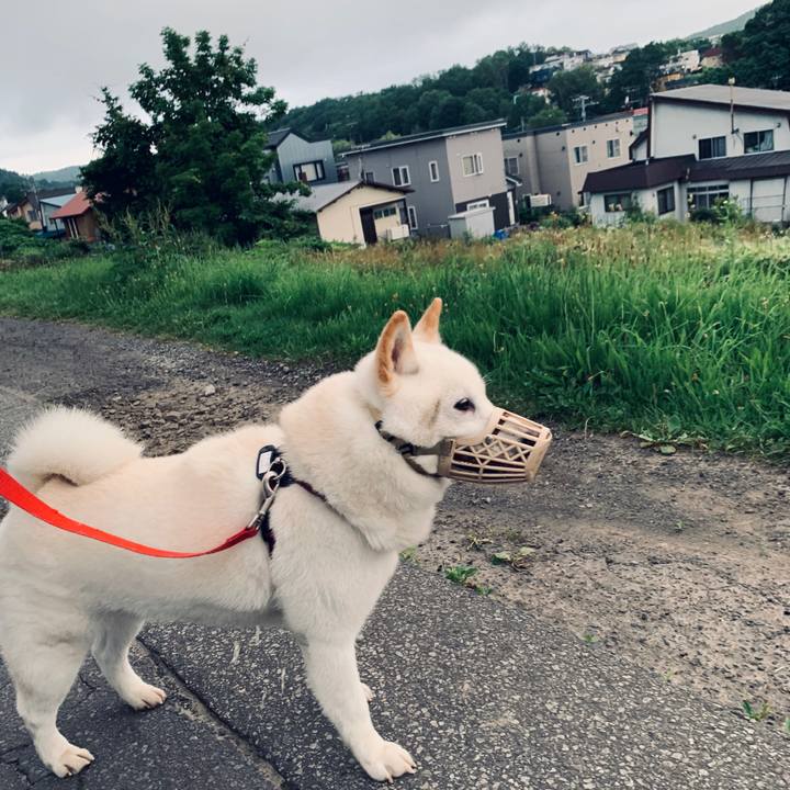 7bbe1de8 a73a 4f32 aaec 3a543e15092c 1594672561125