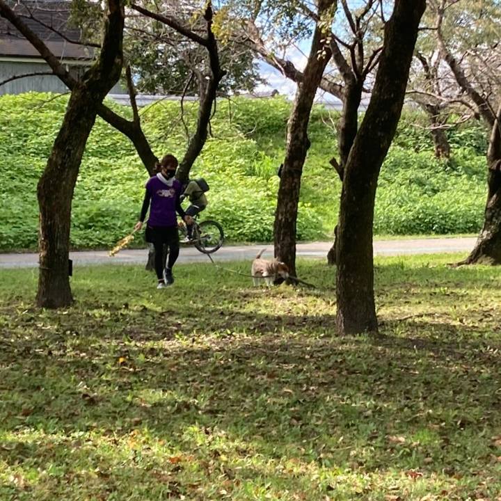 7bbe2c2c c26f 43af ac0f 5b100d4f4c5a 1634992060426