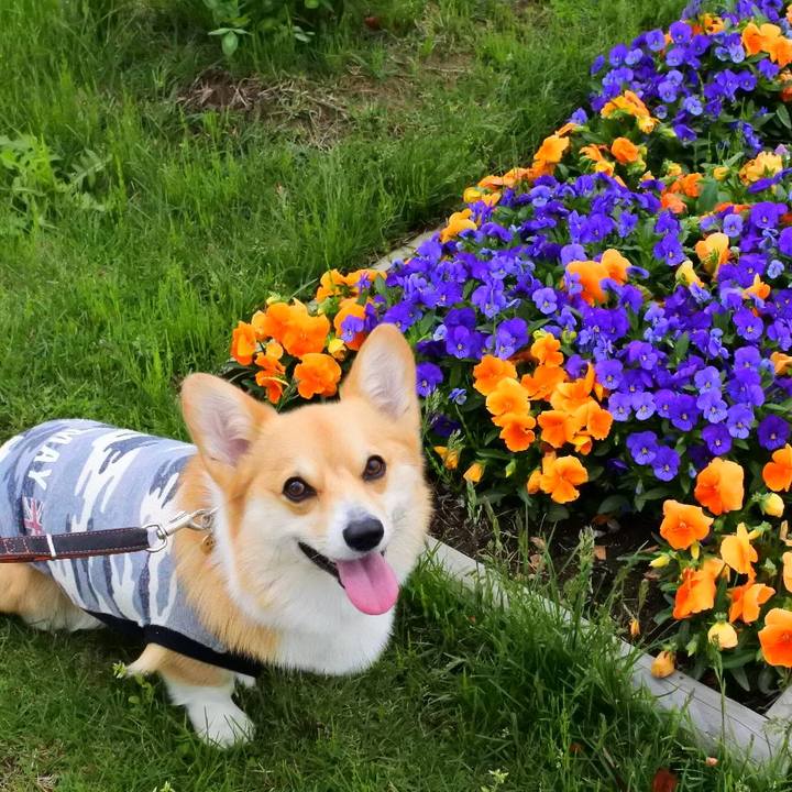 7bbe3408 5023 4149 a944 8bc7abdd04ba 1540616115708