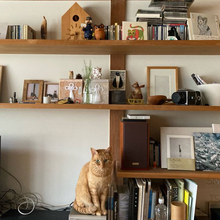 7bbe3674 d4e2 47e4 8e8a 1ae54cde224e 1648512079848