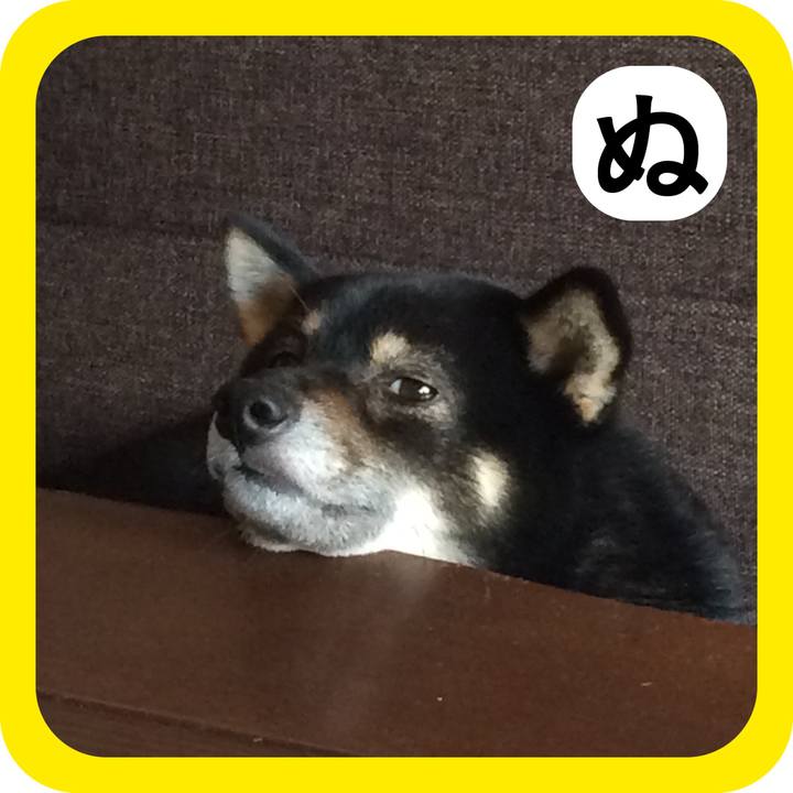 7bbe68f1 9cab 46a8 9eda aa61683fb460 1514941207432