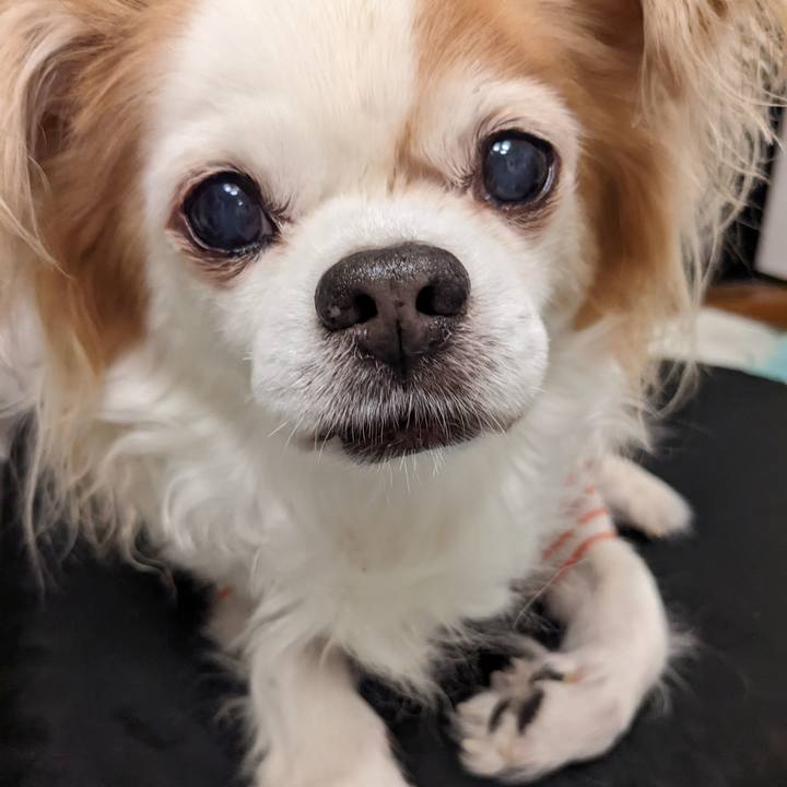 7bbe6e9b cfc0 422e 85a5 c54535c1dfaf 1657283292088