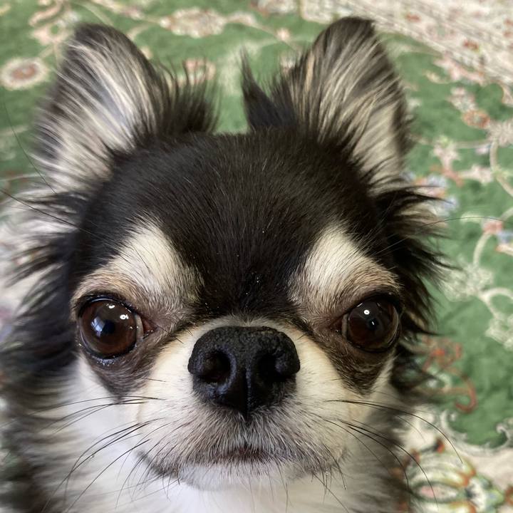 7bbe9509 cd64 4b1f 97ac e2e8faf21633 1651793106711