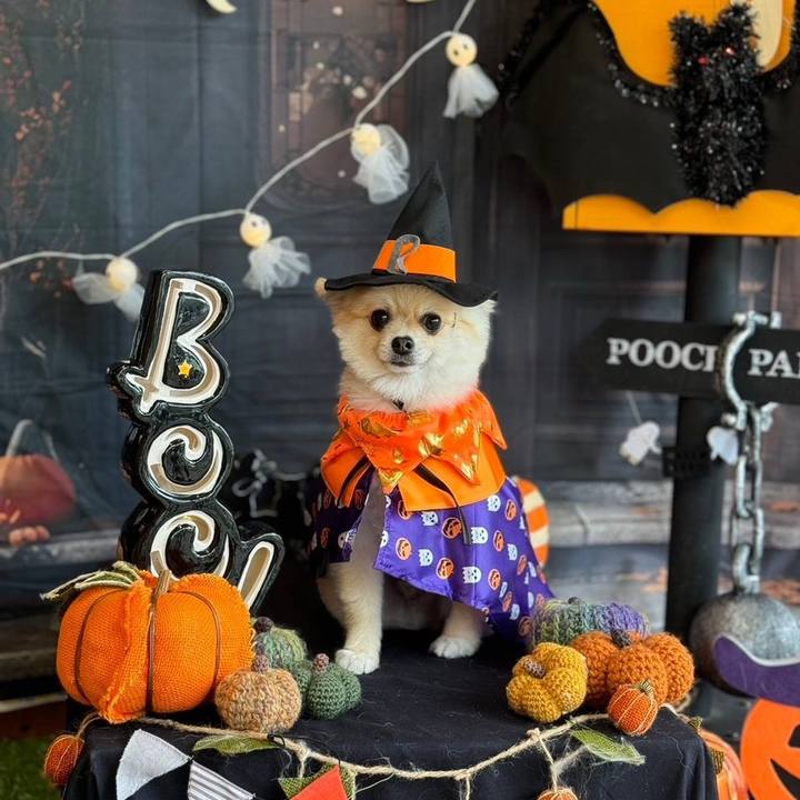 7bbea85f 57a1 45b3 a54a 51dc5e749bcf 1729914624087